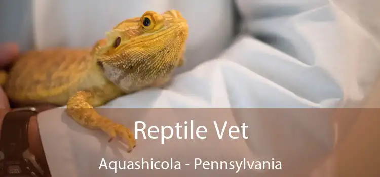 Reptile Vet Aquashicola - Pennsylvania