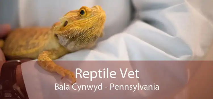 Reptile Vet Bala Cynwyd - Pennsylvania