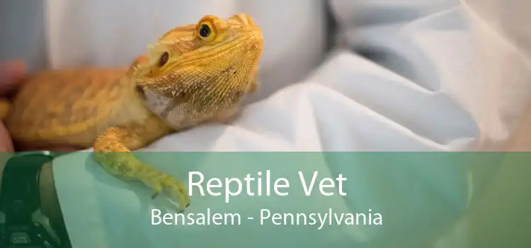 Reptile Vet Bensalem - Pennsylvania