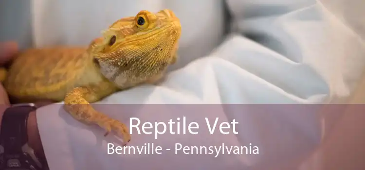Reptile Vet Bernville - Pennsylvania