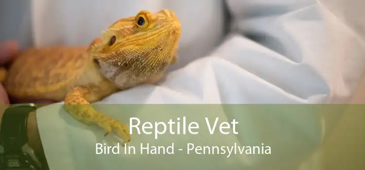 Reptile Vet Bird In Hand - Pennsylvania