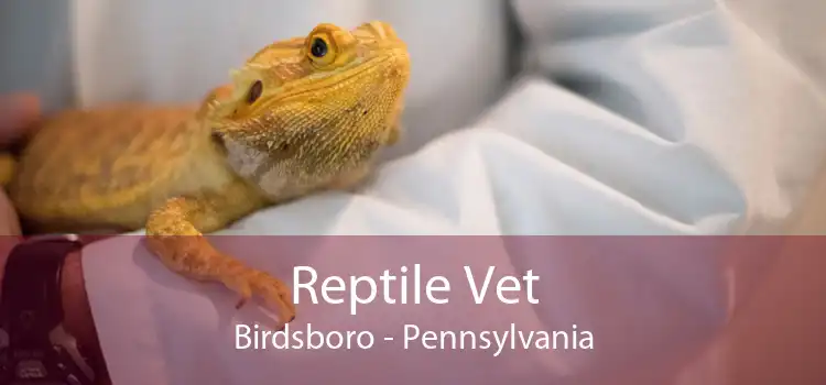 Reptile Vet Birdsboro - Pennsylvania