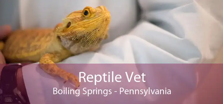 Reptile Vet Boiling Springs - Pennsylvania
