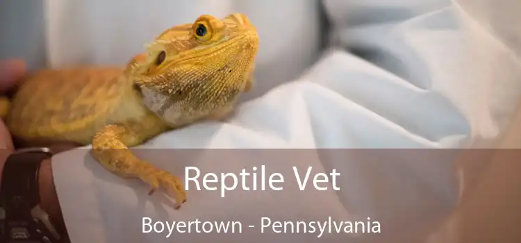 Reptile Vet Boyertown - Pennsylvania