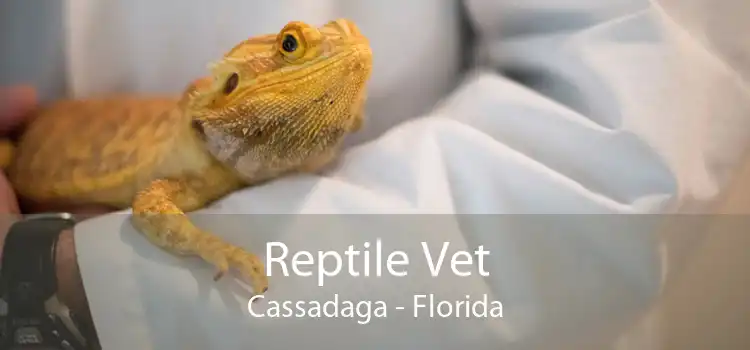 Reptile Vet Cassadaga - Florida