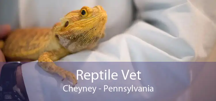 Reptile Vet Cheyney - Pennsylvania