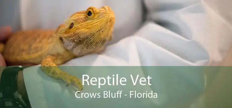 Reptile Vet Crows Bluff - Florida