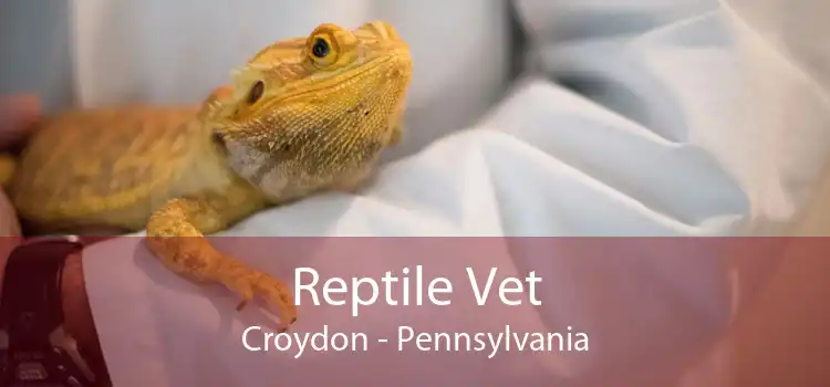 Reptile Vet Croydon - Pennsylvania