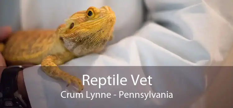 Reptile Vet Crum Lynne - Pennsylvania