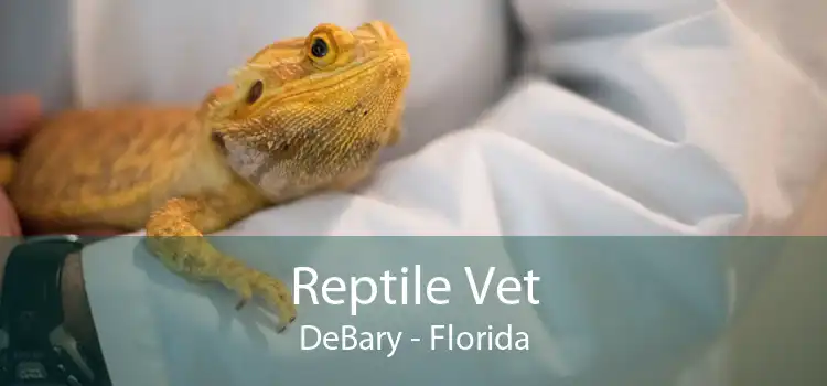 Reptile Vet DeBary - Florida