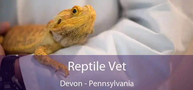 Reptile Vet Devon - Pennsylvania