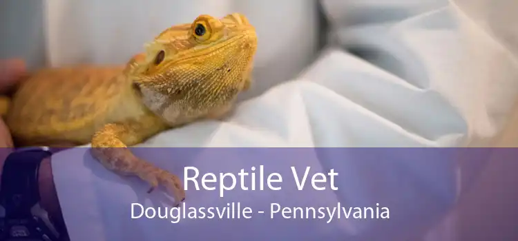 Reptile Vet Douglassville - Pennsylvania