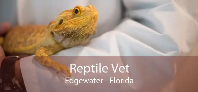 Reptile Vet Edgewater - Florida