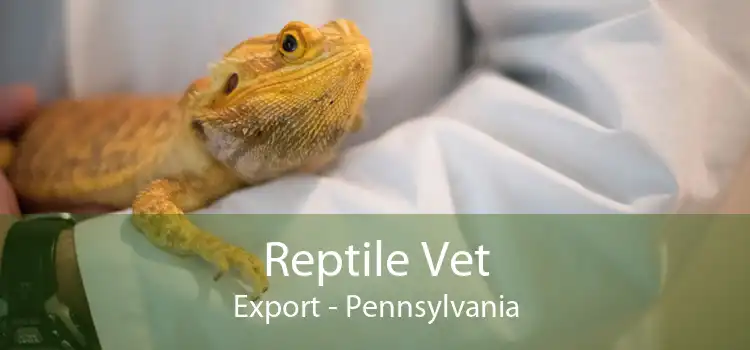 Reptile Vet Export - Pennsylvania