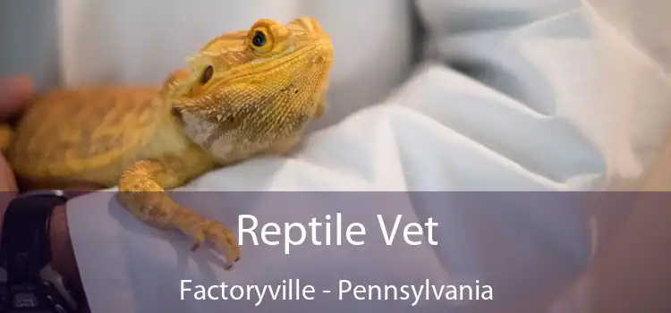 Reptile Vet Factoryville - Pennsylvania