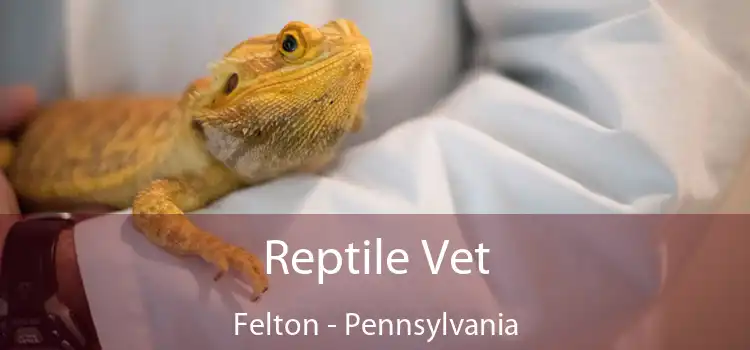 Reptile Vet Felton - Pennsylvania