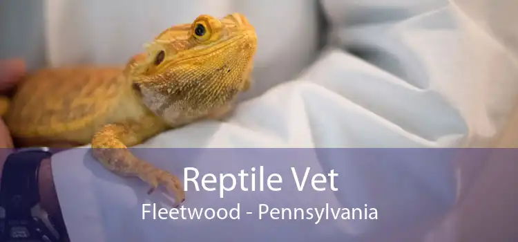 Reptile Vet Fleetwood - Pennsylvania