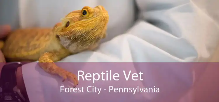 Reptile Vet Forest City - Pennsylvania