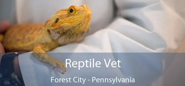 Reptile Vet Forest City - Pennsylvania
