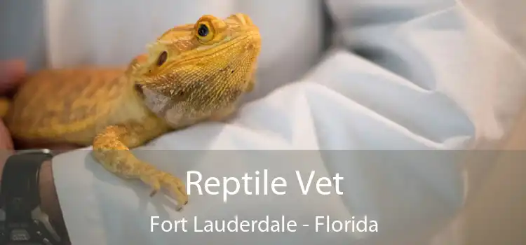 Reptile Vet Fort Lauderdale - Florida