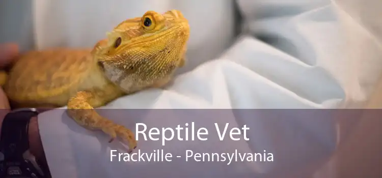 Reptile Vet Frackville - Pennsylvania