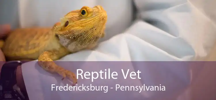 Reptile Vet Fredericksburg - Pennsylvania