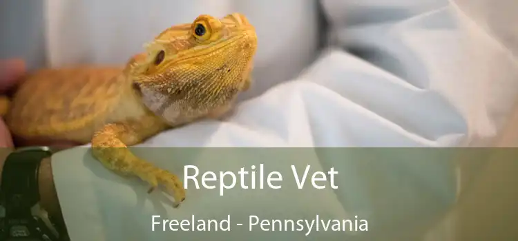 Reptile Vet Freeland - Pennsylvania