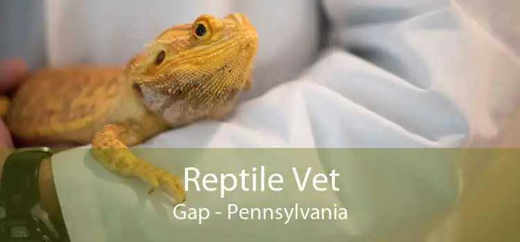 Reptile Vet Gap - Pennsylvania