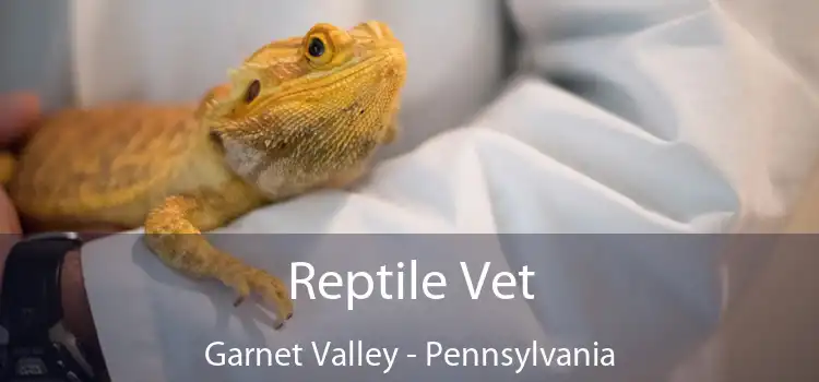 Reptile Vet Garnet Valley - Pennsylvania