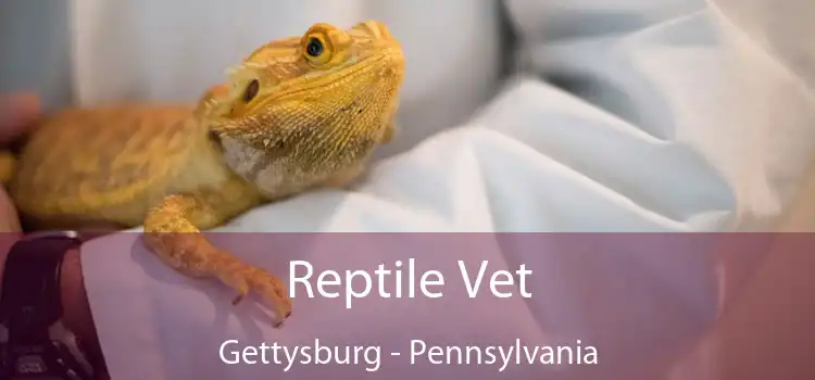 Reptile Vet Gettysburg - Pennsylvania