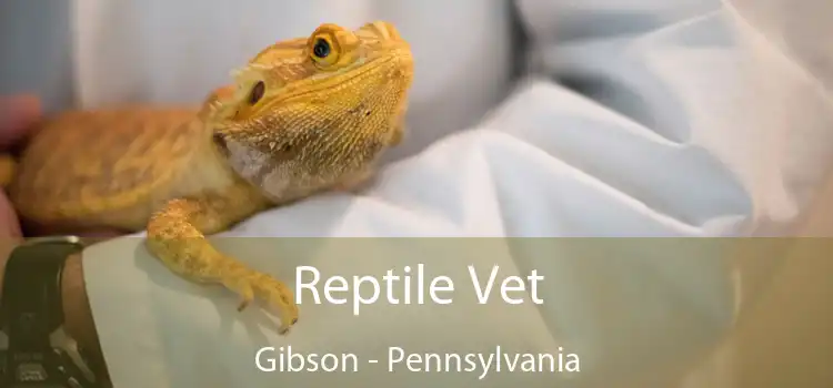 Reptile Vet Gibson - Pennsylvania