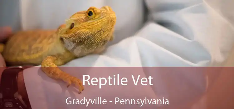 Reptile Vet Gradyville - Pennsylvania