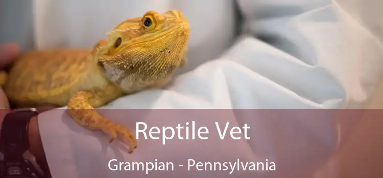 Reptile Vet Grampian - Pennsylvania