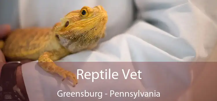 Reptile Vet Greensburg - Pennsylvania