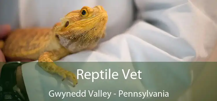 Reptile Vet Gwynedd Valley - Pennsylvania