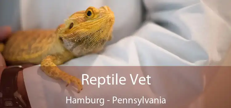 Reptile Vet Hamburg - Pennsylvania