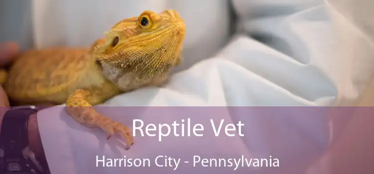 Reptile Vet Harrison City - Pennsylvania