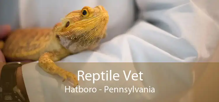 Reptile Vet Hatboro - Pennsylvania