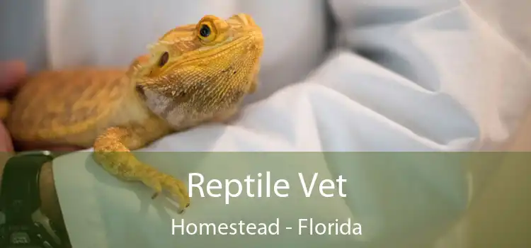 Reptile Vet Homestead - Florida