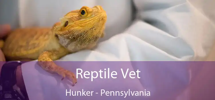 Reptile Vet Hunker - Pennsylvania