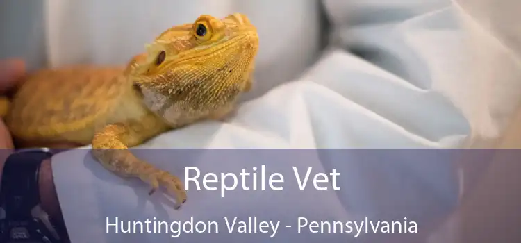 Reptile Vet Huntingdon Valley - Pennsylvania