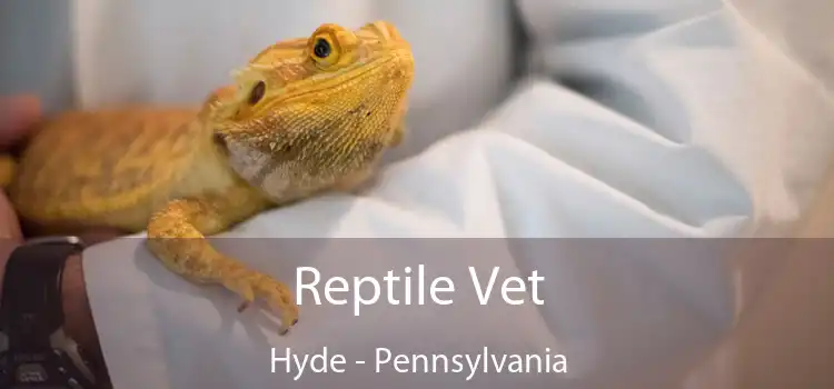 Reptile Vet Hyde - Pennsylvania