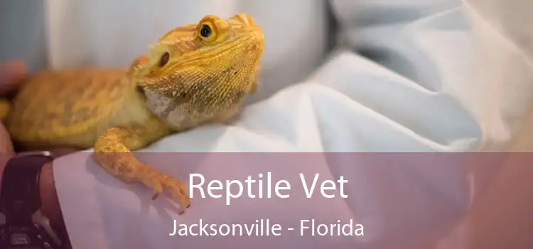 Reptile Vet Jacksonville - Florida