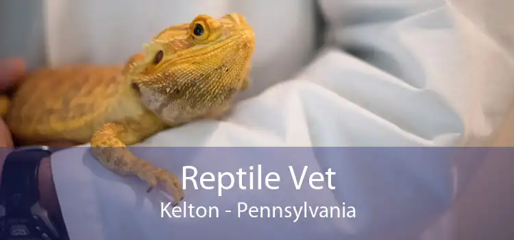 Reptile Vet Kelton - Pennsylvania