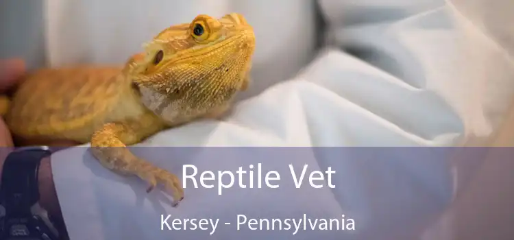 Reptile Vet Kersey - Pennsylvania