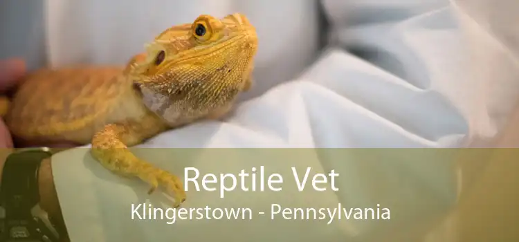 Reptile Vet Klingerstown - Pennsylvania