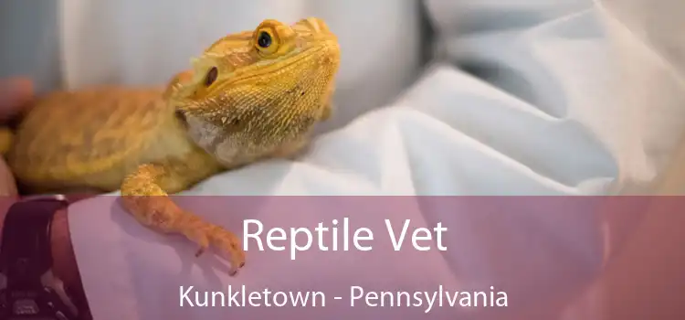 Reptile Vet Kunkletown - Pennsylvania