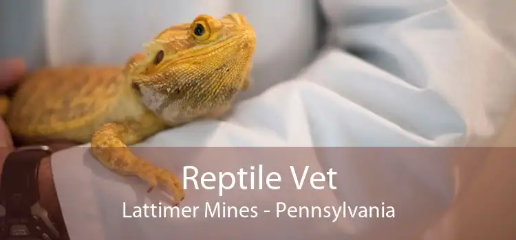 Reptile Vet Lattimer Mines - Pennsylvania