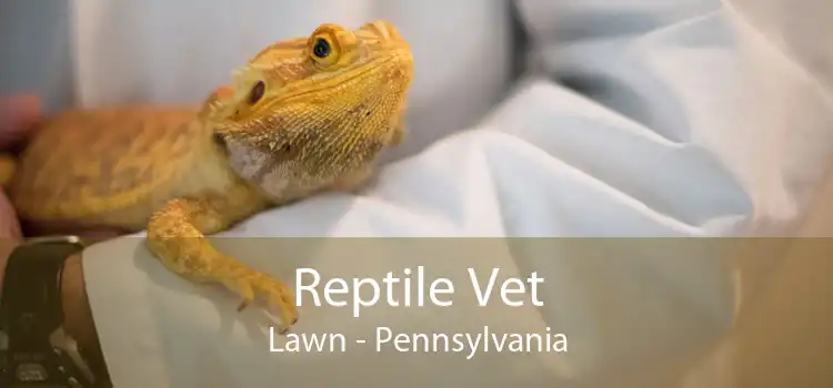 Reptile Vet Lawn - Pennsylvania