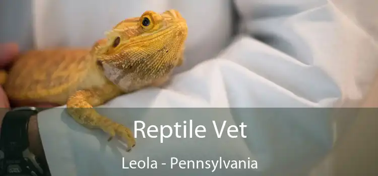 Reptile Vet Leola - Pennsylvania